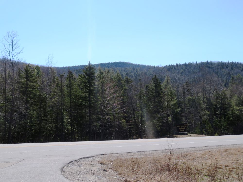 Outdoor Diversion Hall's Ledge Trail and Hutmen's Trail Loop Hike