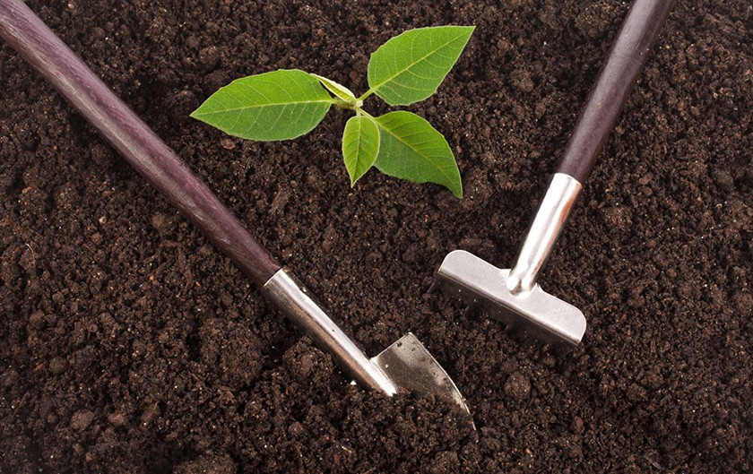 Desarrollo Sustentable Agricultura Convencional