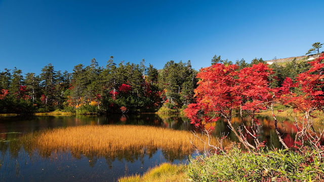 Autumn morning lake wallpaper.  Download free nature hd wallpaper