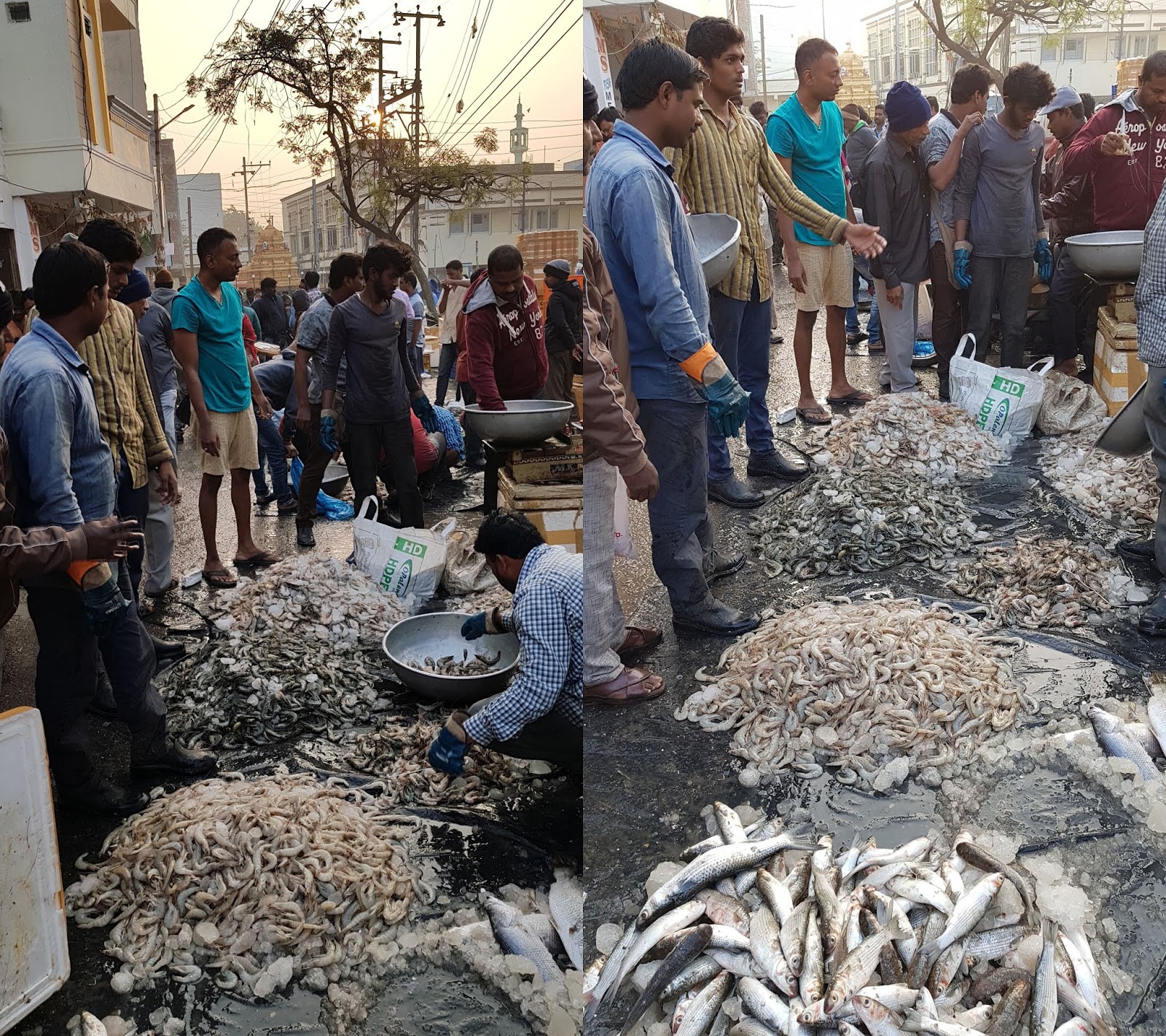 Raghu's column! Ramnagar Fish Market Our City’s Largest Fish Market!