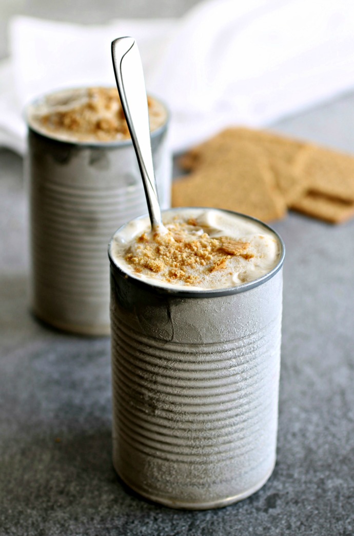 Peanut Butter Banana Frozen Yogurt (No Churn)