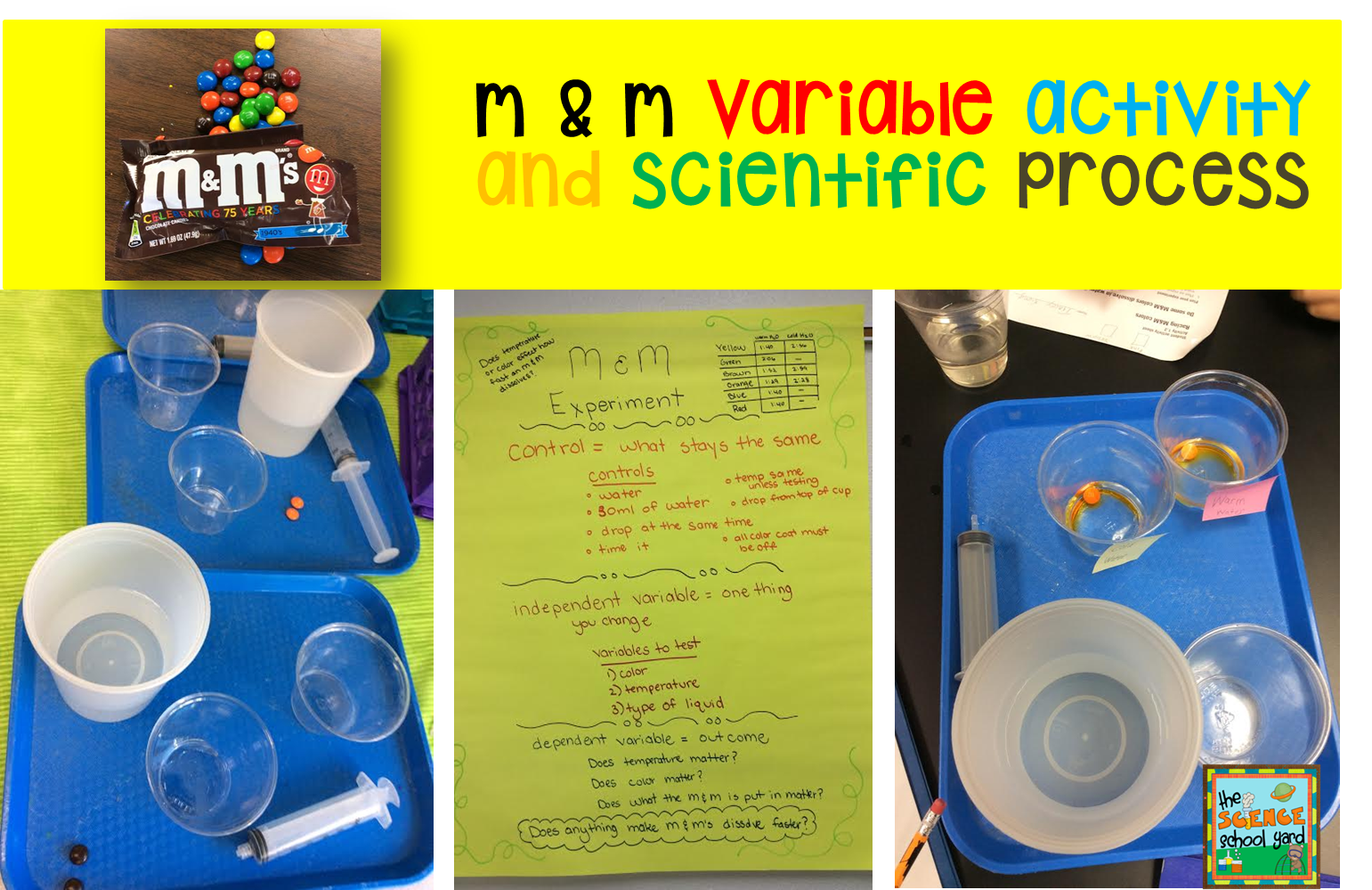 The Science School Yard Scientific Process and M & M's