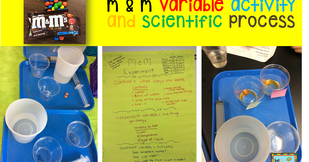 The Science School Yard: Scientific Process and M & M's