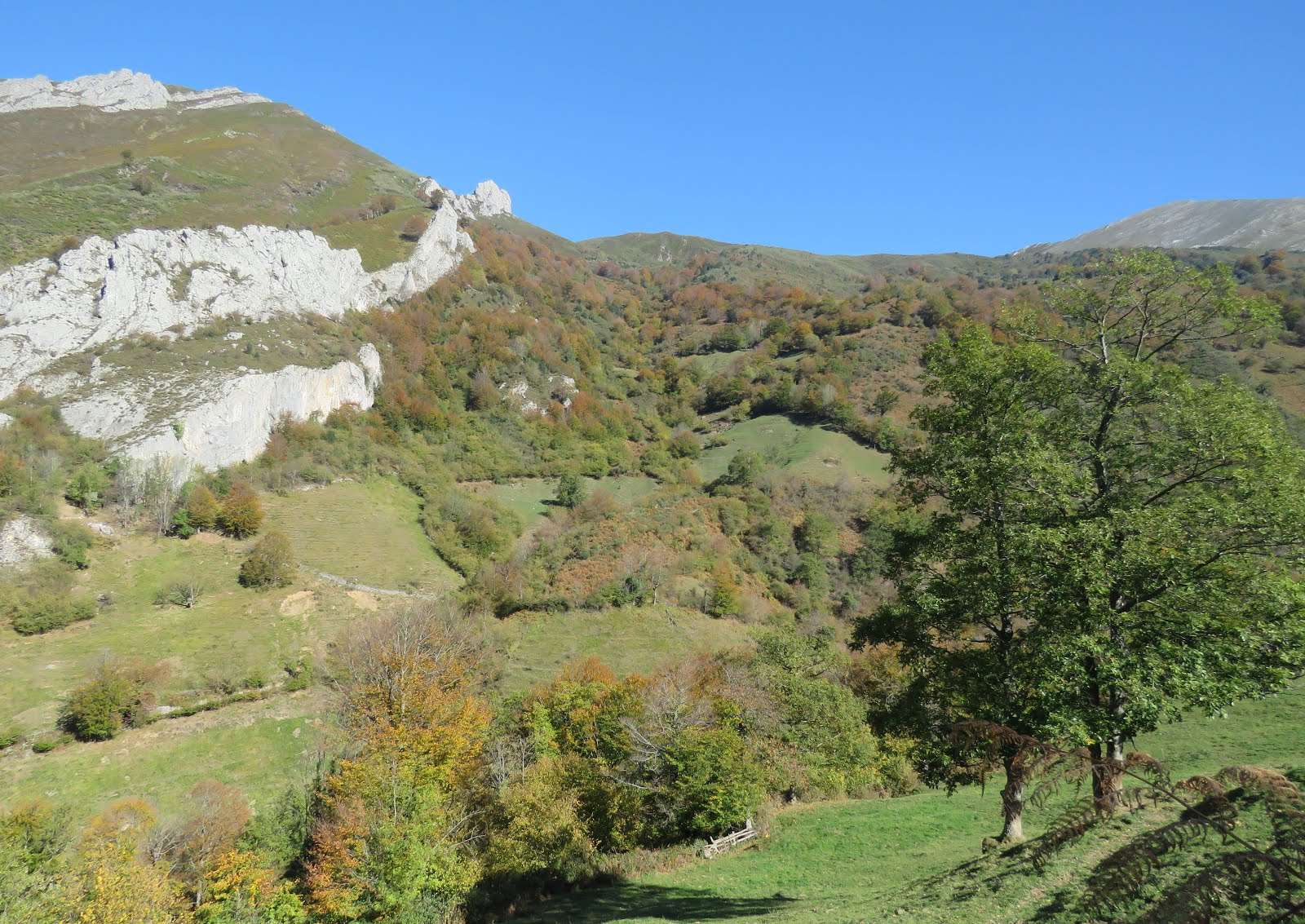 Pañol grande Puerto de Vegarada