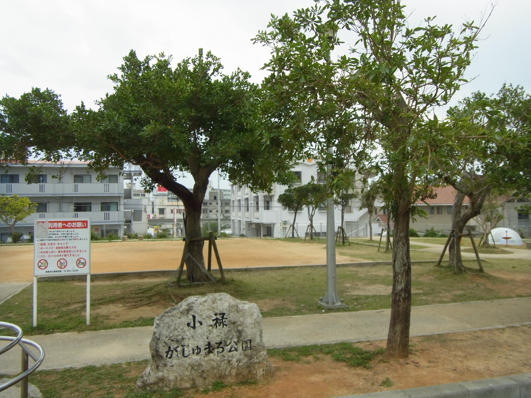 318 1000 小禄がじゅまる公園 沖縄県那覇市 日本1000公園