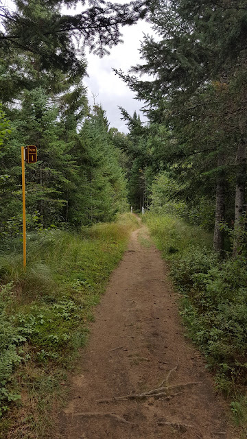 début du sentier le Centenaire