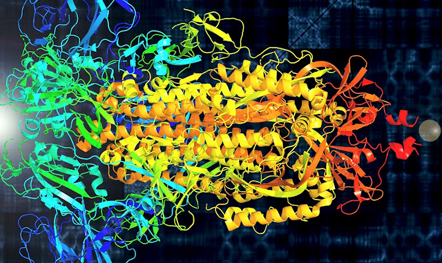 Профессор Маркус Бюлер создает новые белки с помощью искусственного интеллекта. Недавно он перевел спайковый белок нового коронавируса в звук, чтобы визуализировать его вибрационные свойства, как показано здесь. Основные цвета представляют три белковые цепи шипа. (Предоставлено Маркусом Бюлером)