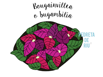 COMO PINTAR PIEDRAS CON BOUGANVILLEA PASO A PASO