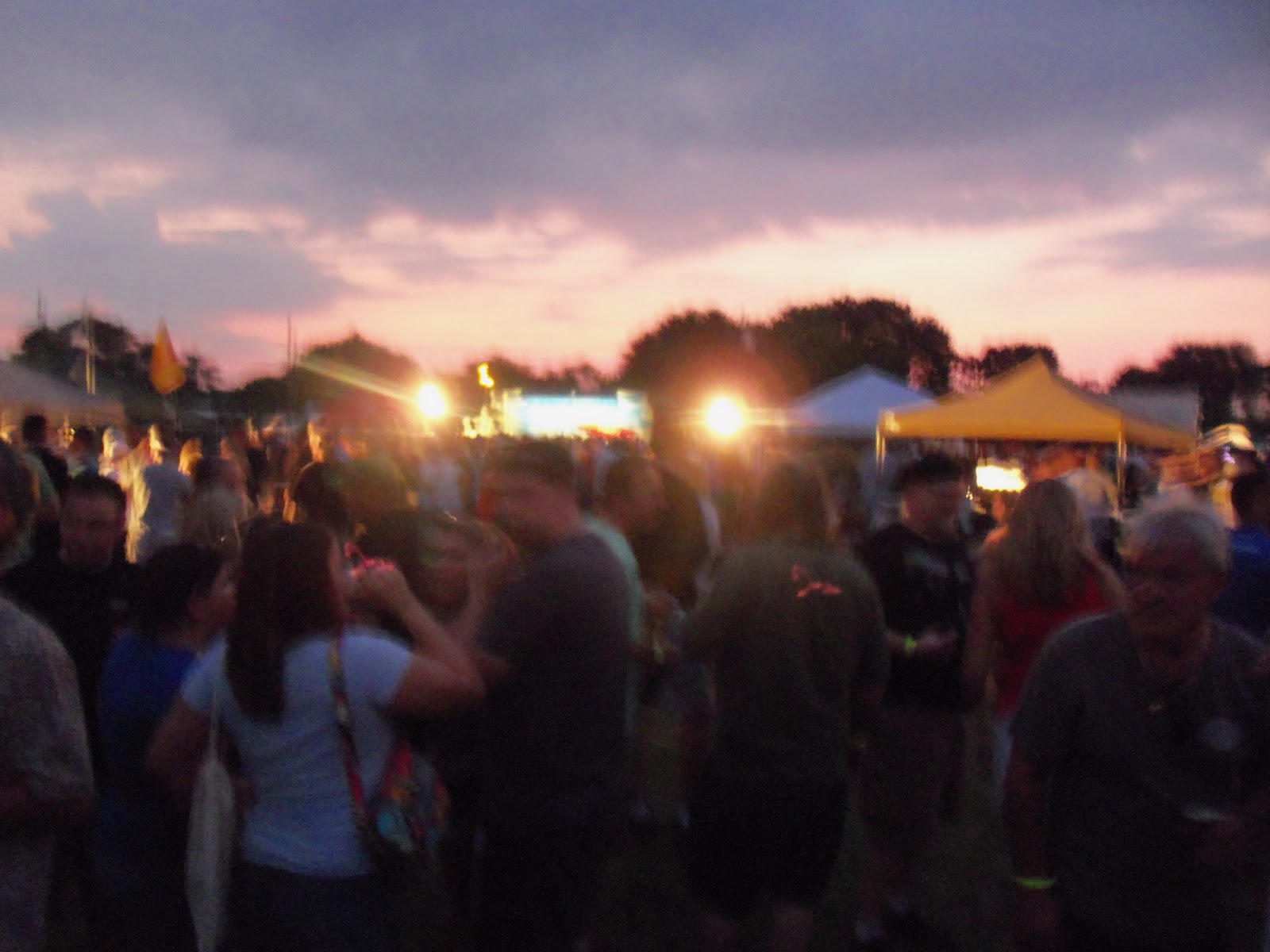 Adventures With The Renegade Reps Dunedin Beer Festival