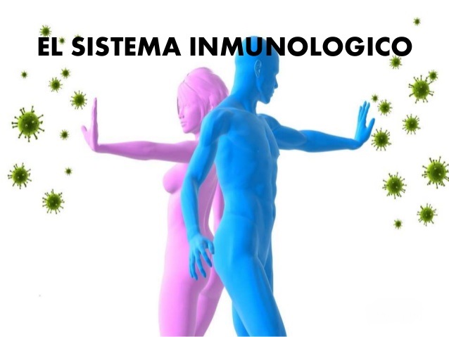 Fortalecer el sistema inmunologico