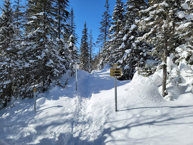Vue à partir du sentier de la Tete du Chien