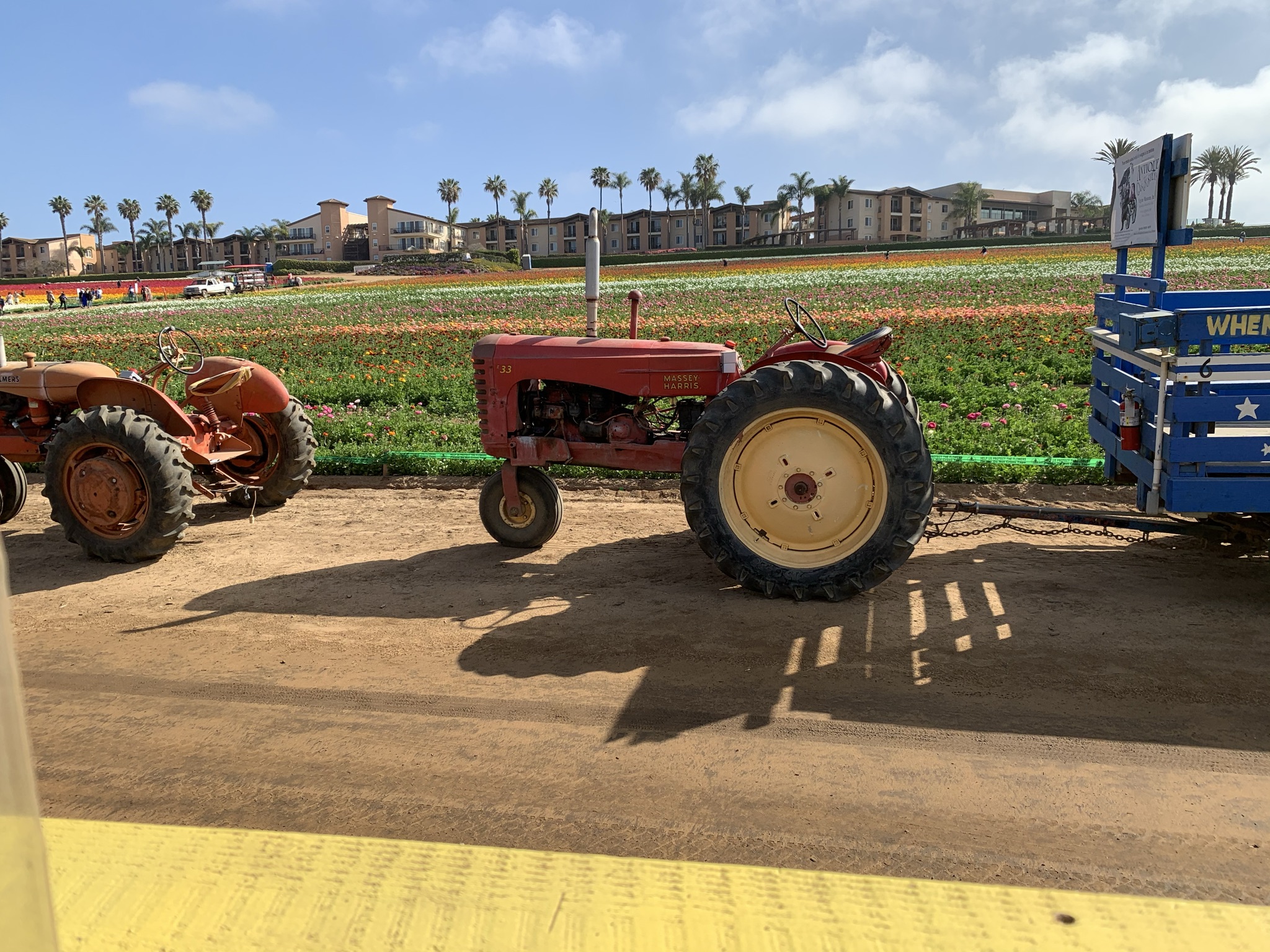 Sweet Times Spring Break Carlsbad, CA