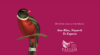 Riviera Nayarit da la bienvenida al 2018 con grandes eventos 3 FESTIVAL%2BAVES2