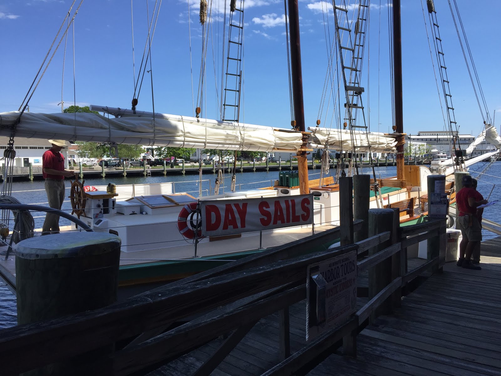 It's All About Purple Sail Away Argia