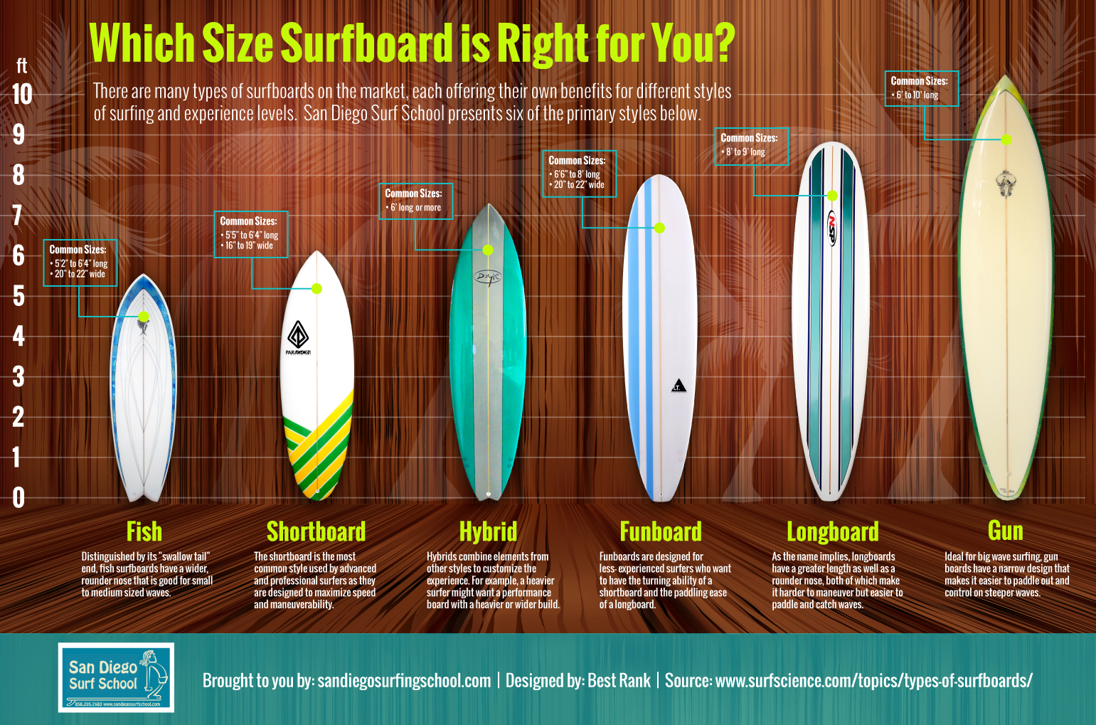 De 5 beste beginners surfboards : Golfsurfen in België & Nederland