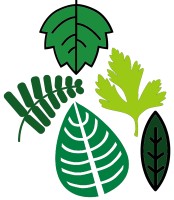 Familias aromáticas: Verde