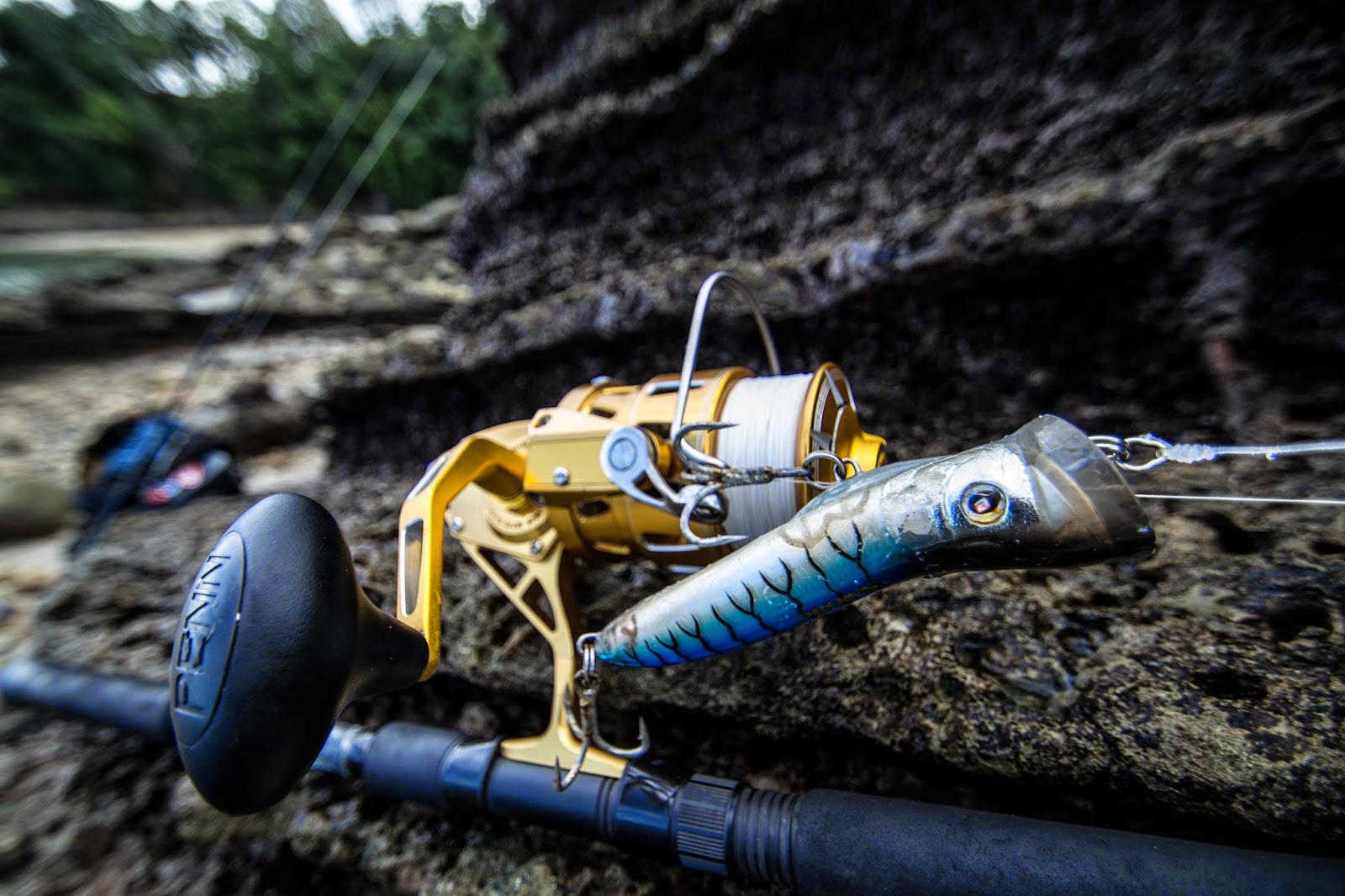 Pargo Roquero & Sebile Splasher | Kill the Rutine