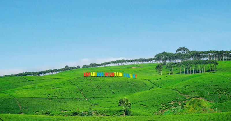 Potensi Pariwisata Alam Kebun Teh Kebawetan