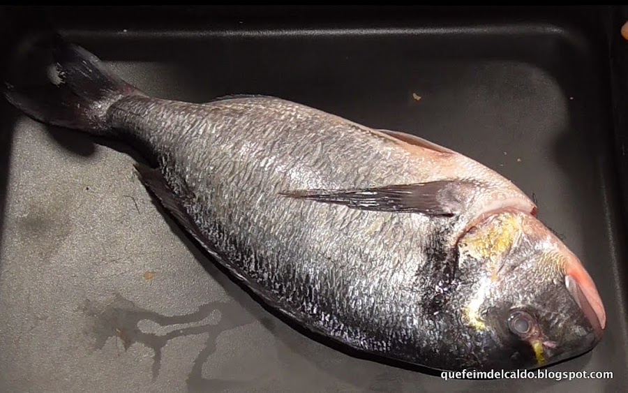 dorada a la sal