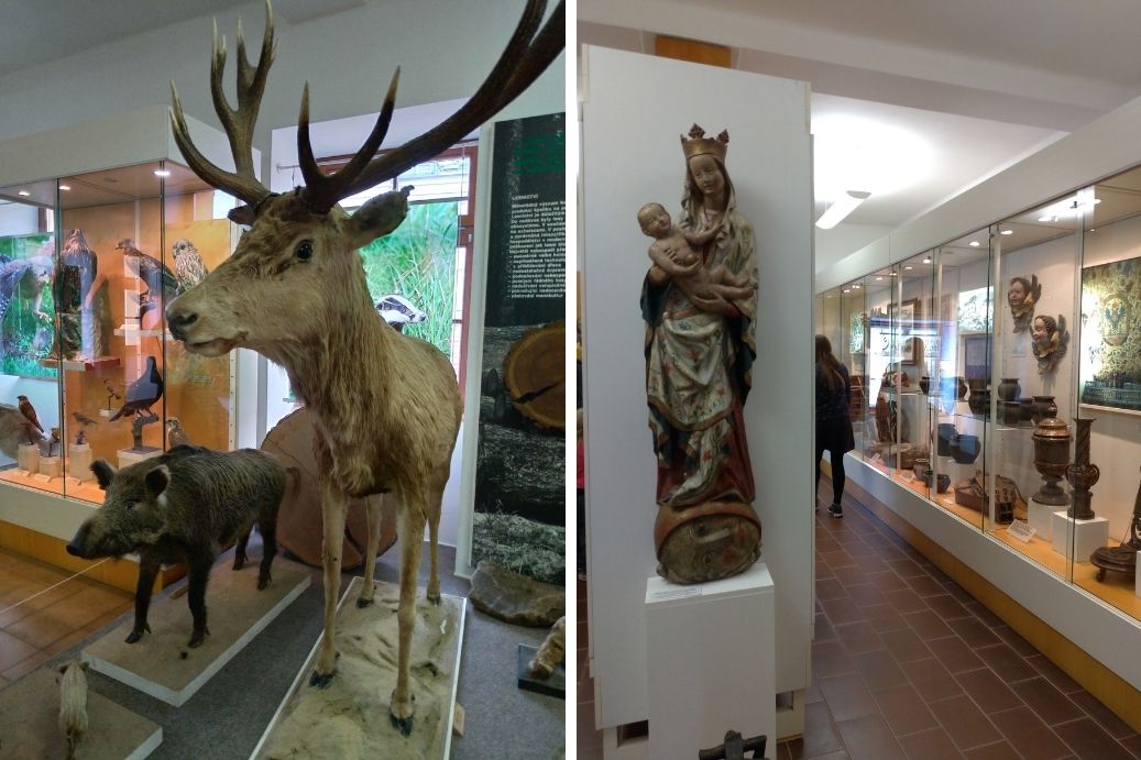 muzeum v Kašperských horách - vycpaná divoká zvířata krásnoslohé madony