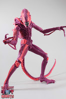 NECA Xenomorph Warrior Arcade Appearance 12