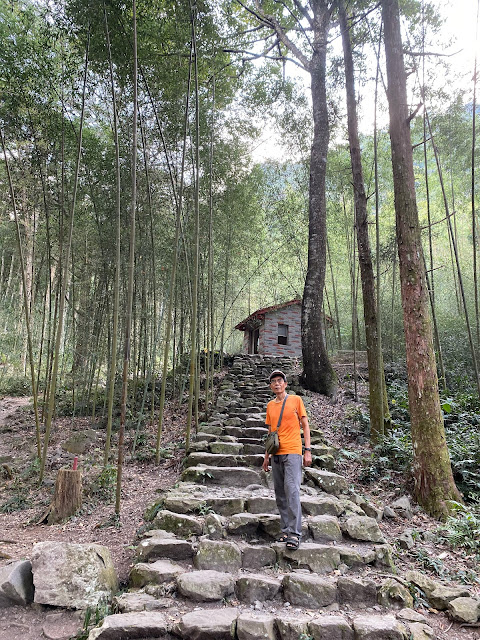 八仙山森林遊樂區 八仙山森林遊樂區