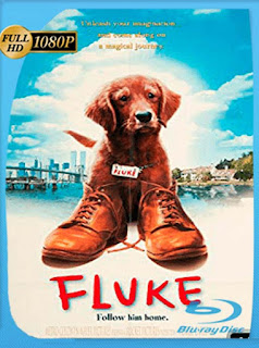 Fluke [1995] HD [1080p] Latino [GoogleDrive] SXGO