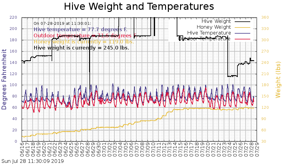 What Should I Be Doing With My Bees This Month? Is the nectar flow over?