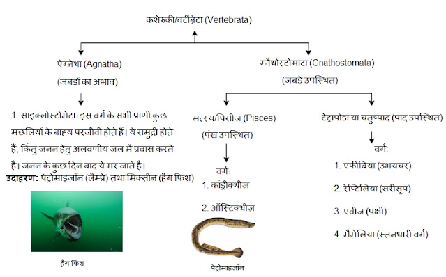 jantu-jagat