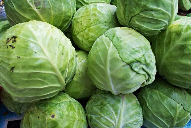 Surprising Health Benefits of cabbage