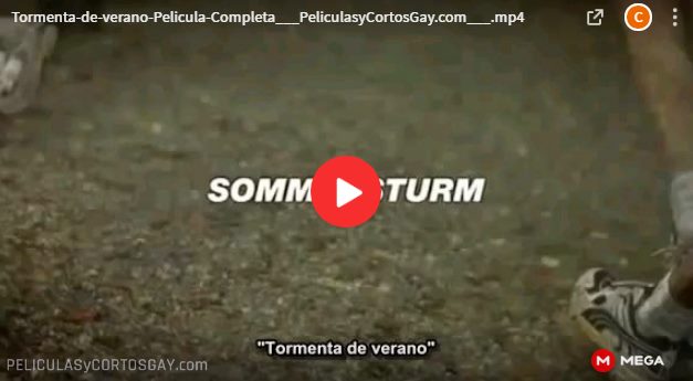 CLIC PARA VER VIDEO Tormenta De Verano - Sommersturm - PELICULA - Alemania - 2004 CLIC PARA VER VIDEO Tormenta De Verano - Sommersturm - PELICULA - Alemania - 2004