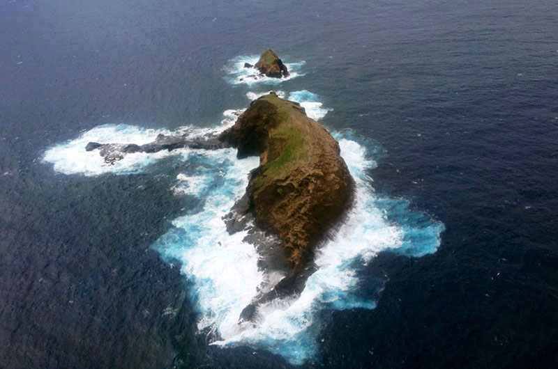 Pulau Zou One Piece Terbaru 2015 Aicenemy Blog