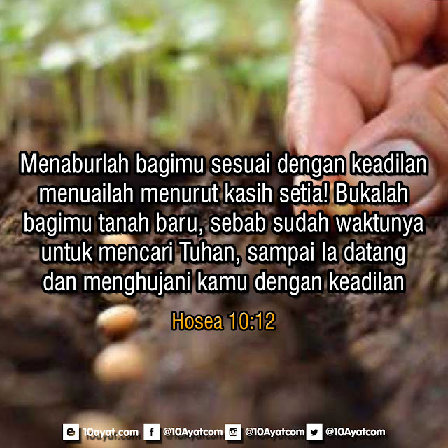 Hosea%2B10 12