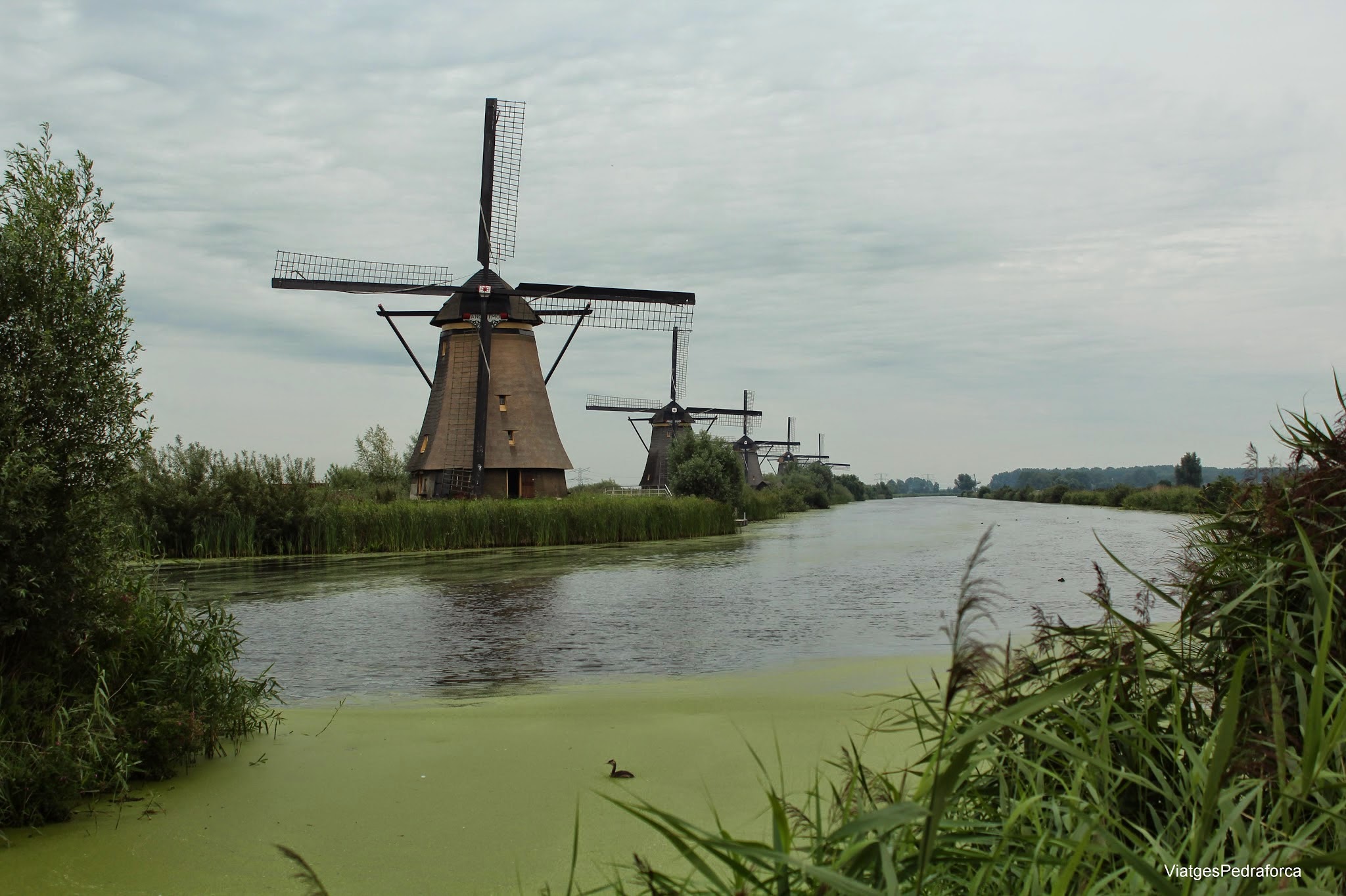 Kinderdijk Països Baixos Holanda Patrimoni de la Humanitat Unesco