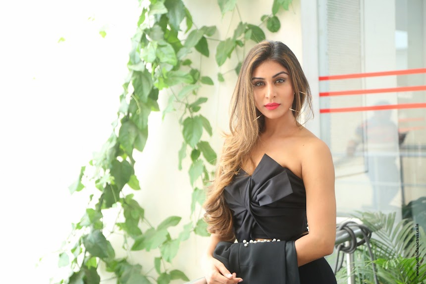 Myra Sareen at Officer movie Press Meet