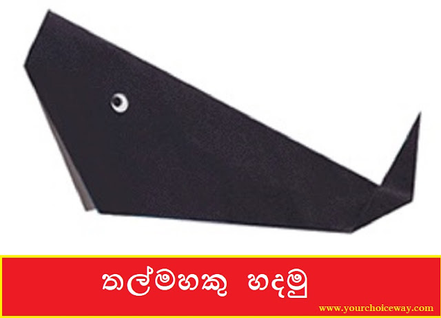 තල්මහකු  හදමු (Origami Whale) - Your Choice Way