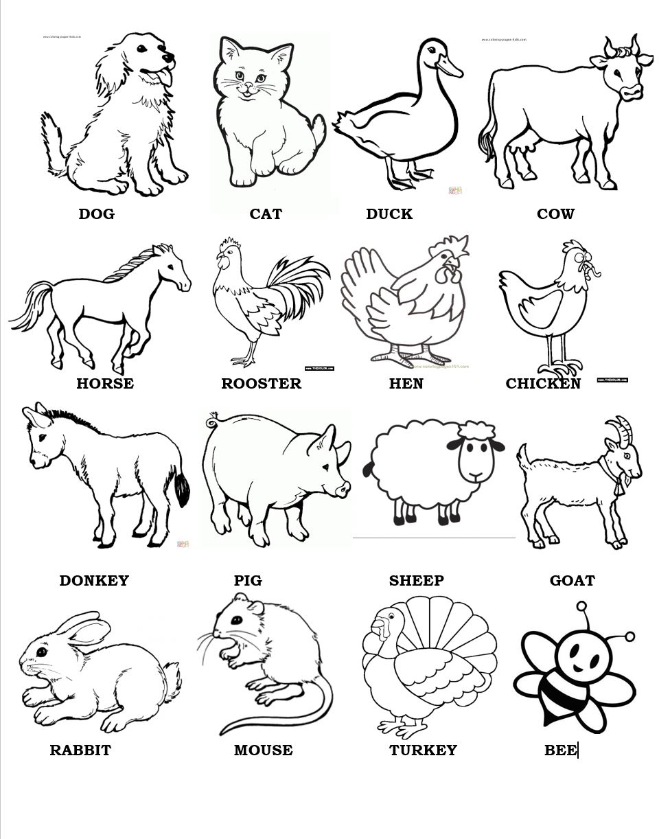 Animales En Inglés Para Niños