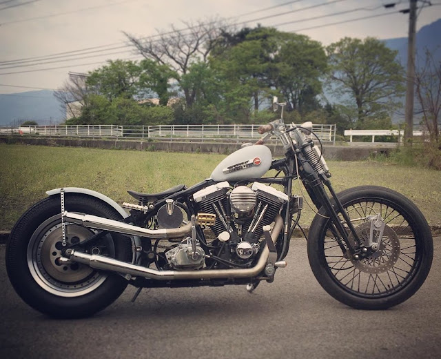 Harley Davidson By Nuts Custom Cycles