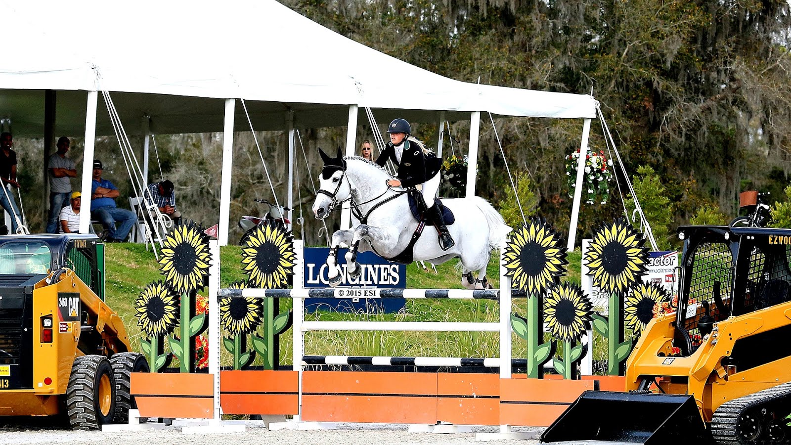 Hits Ocala Horse Show Horse Choices