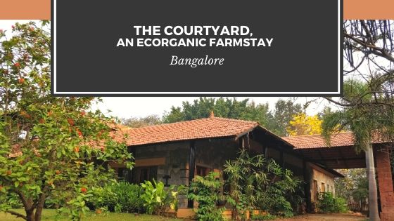 the-courtyard-ecorganic-stays-bangalore-review-style-prism