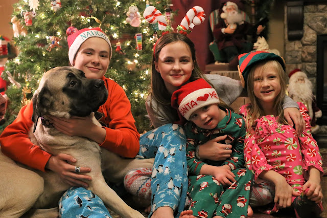 Our Five Ring Circus 25 MustSee Christmas Movies (and shows) To Watch
