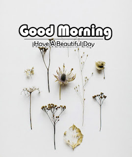 Beautiful-Good-Morning-4k-Images-Download-For-GF-Friend