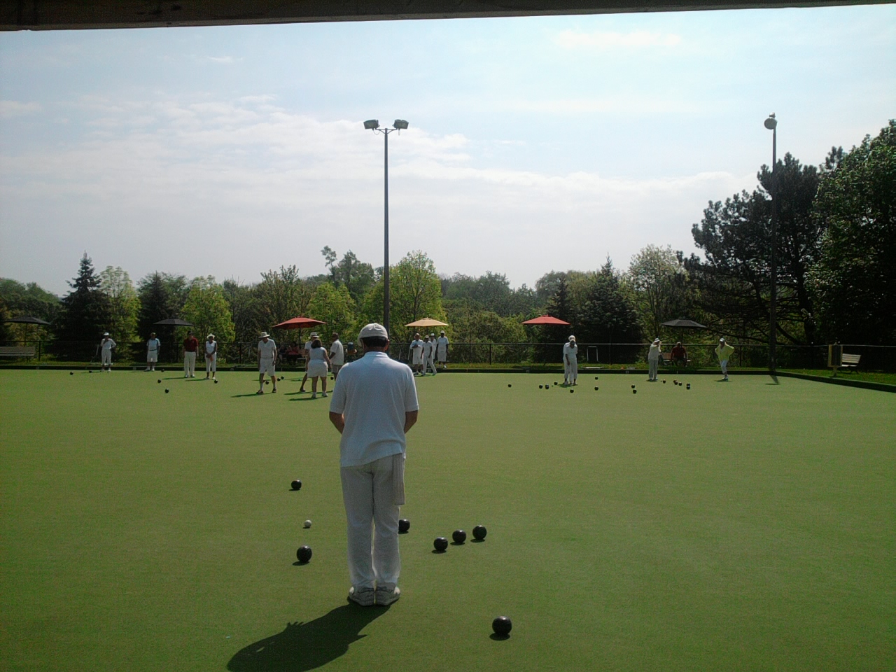 The Greenbowler The Experiences and Insights of a Lawn Bowler After 6