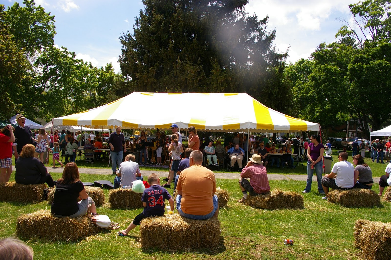 Asparagus and Flower Heritage Festival 2013