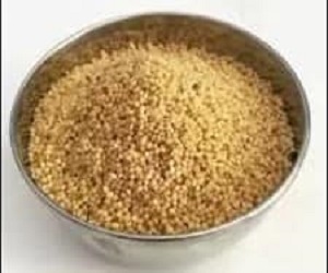 या कंगनी (Setaria italica or foxtail millet) की रोटी, भात, खीर, लड्डू इडली एवं मिठाइयां बनाये जाते हैं।Setaria italica or Foxtail Millet is a grain known as Kauni in Kumaun