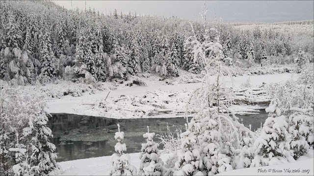 Winters Magical Snowfall Morice River Houston British Columbia