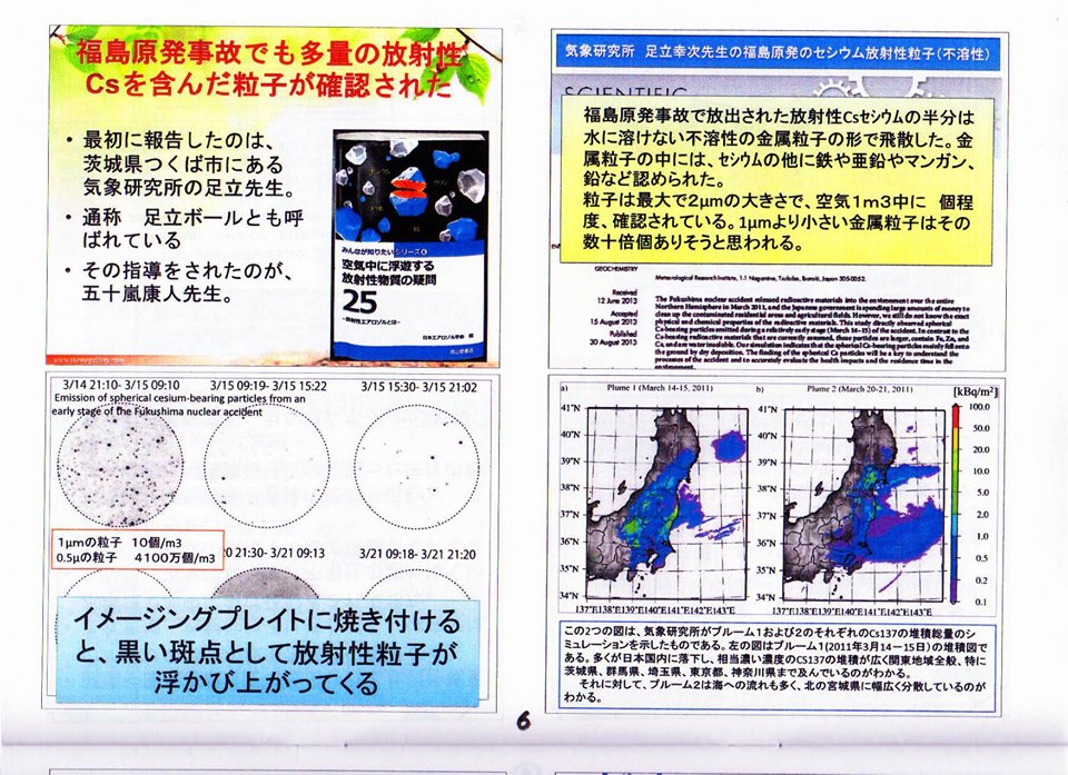 ボール セシウム 福島原発事故で東京にも飛散 内部被曝を誘発する“謎の微小球体”