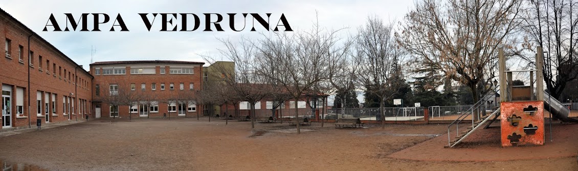 imagen del blog