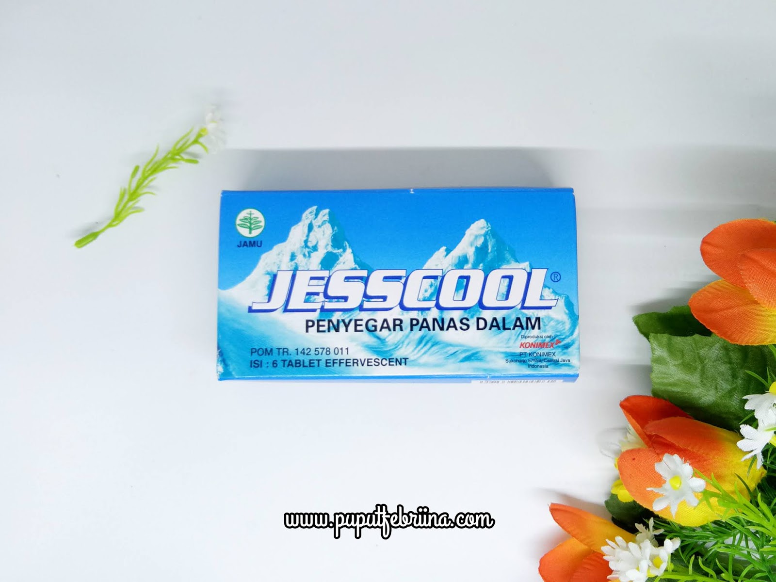 Segarkan Panas Dalam Dengan Jesscool