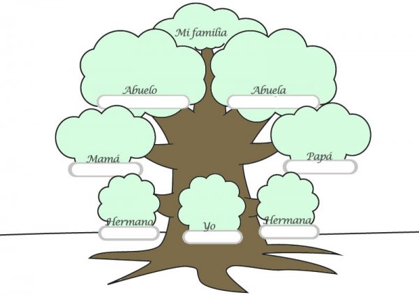 Trabajando El Arbol Genealogico Con Los Ninos Y De Verdad Tienes